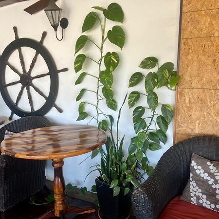 Cabo Tortuga Hotel Boutique 카보산루카스 외부 사진