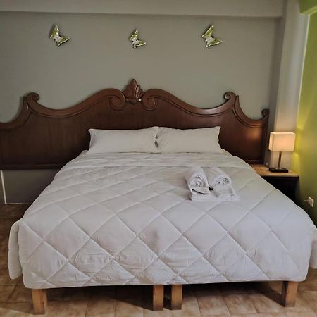Cabo Tortuga Hotel Boutique 카보산루카스 외부 사진